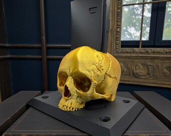 Custom 3D Printed Skull AR-15/M4 Gun Display Stand – Unique Tactical Rifle Holder