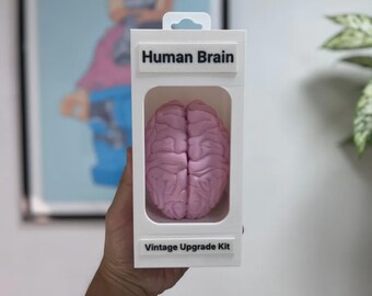 Vintage Body Upgrade Kit – Funny Anatomy Desk Display & Gift