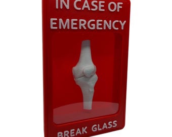 Emergency Knee Box, Gag Gift, Desk Decor, Novelty Item