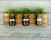 Mason Jar Wall Hanging Planter / Organizer Decor