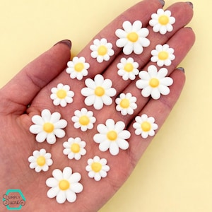 18 Royal Icing Daisies: Floral Cake Toppers