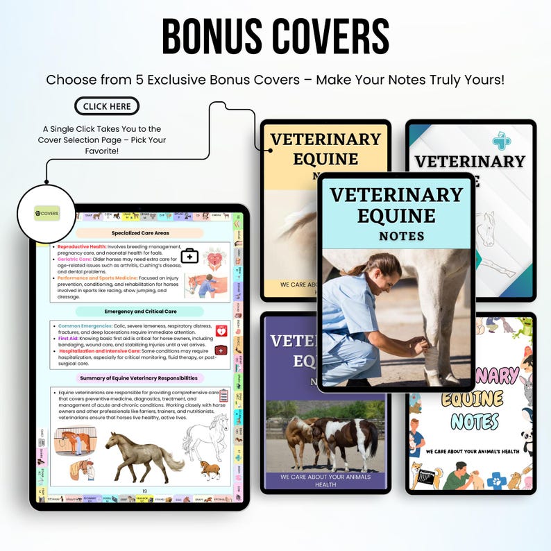 Op de afbeelding: Vijf verschillende omslagontwerpen voor veterinaire paardennotities. De omslagen bevatten verschillende afbeeldingen, waaronder een paard dat door een dierenarts wordt onderzocht, een paard met een verband om zijn been en een paard met een veulen. De tekst op de omslagen luidt "Veterinaire paardennotities" en "We geven om de gezondheid van uw dier".