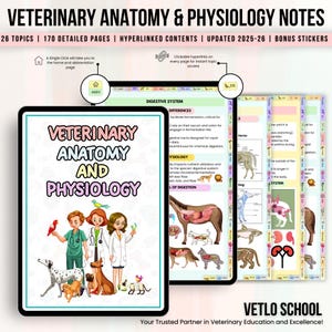 Veterinary Anatomy Notes, Veterinary Nurse, Anatomy Study Guide, Vet Nursing Notes, Vet Med Student, Instant Download, Vet Tech Notes