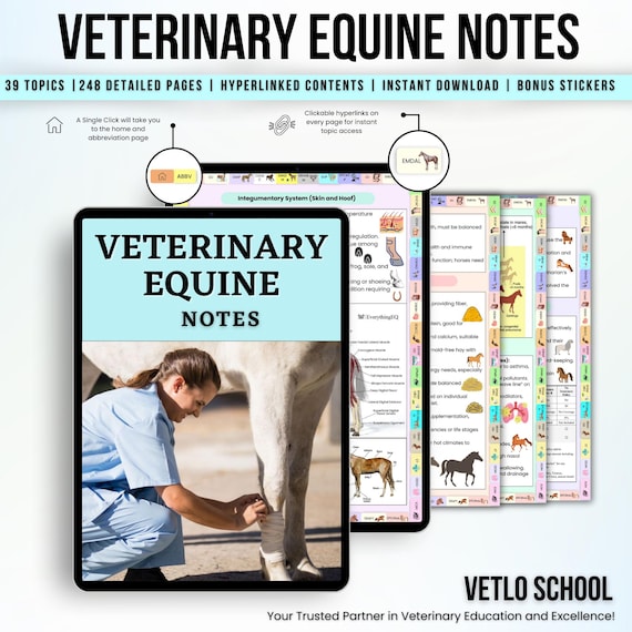 Equine Veterinary Notes Bundle, Digital Horse Medicine & Care Study Guide, Vet Student Technician Essentials, Instant Download PDF