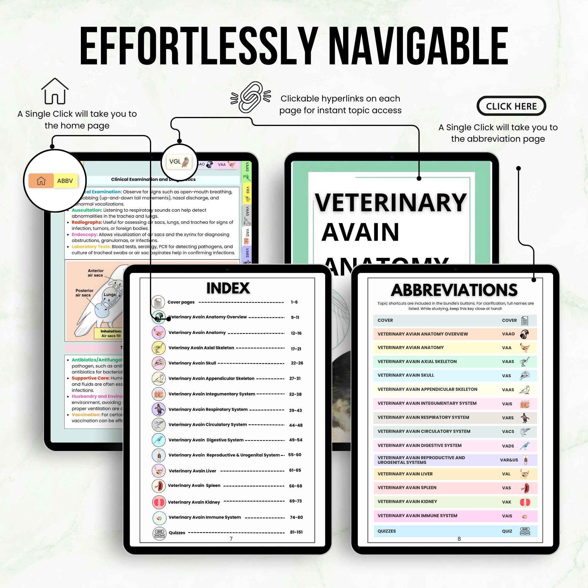 Vet Notes.pdf Veterinary Avian Anatomy Bundle, Bird Anatomy Study Notes & Diagrams ...