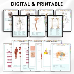 May include: Digital and printable educational resources featuring anatomical diagrams. The image displays tablets and printed pages with illustrations of the human skeleton, nervous system, tissue types, and sensory organs. The text "DIGITAL & PRINTABLE" is at the top.
