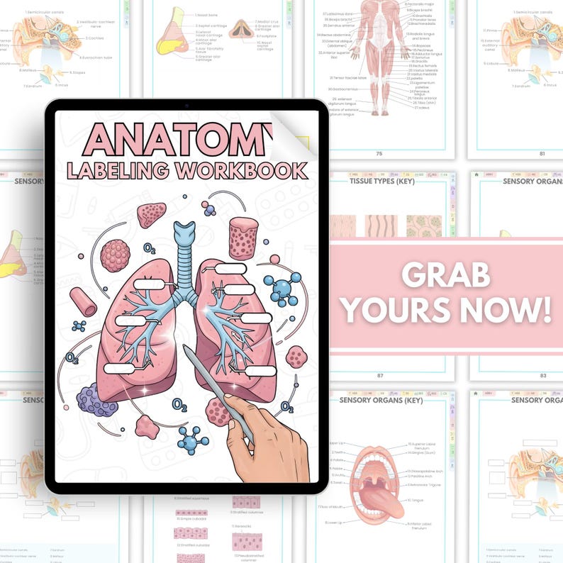 Human Anatomy Labeling Workbook Physical Book | Anatomy Study Guide for ...