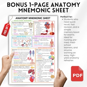 May include: Anatomy mnemonic sheet with detailed diagrams of skeletal, sensory, muscular, and brain systems. Includes text with mnemonics and a "FREE GIFT" tag. Perfect for students and medical professionals.