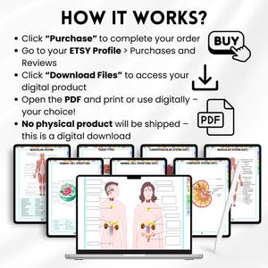 May include: A laptop displays digital anatomy diagrams, including muscular, cardiovascular, and lymphatic systems. The image includes text explaining the digital download process: Purchase, download files, and print. A 'Buy' button and PDF icon are also visible.