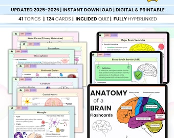 Brain Anatomy Flashcards Hyperlinked, Updated 2025-26, Anatomy and Physiology Study, Neuroscience Study Aid, Nursing School, Medical Notes