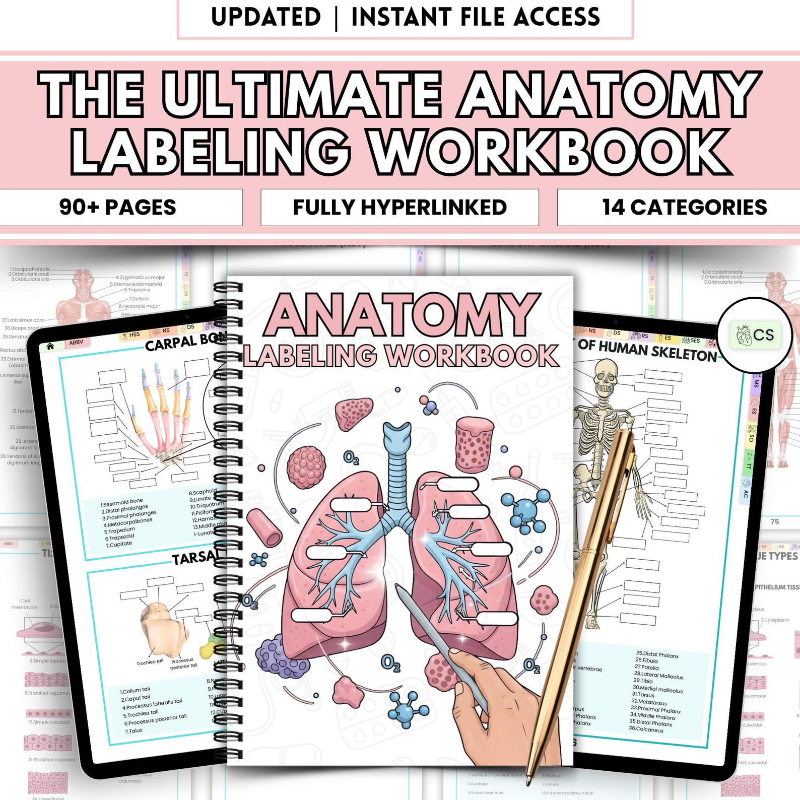 Human Anatomy Labeling Workbook | Anatomy Study Guide PDF | Nursing ...