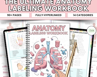 Cahier d'exercices sur l'étiquetage de l'anatomie humaine | Guide d'étude de l'anatomie PDF | Feuilles d'étude pour les étudiantes en soins infirmiers | Feuilles de travail sur l'étiquetage anatomique | Téléchargement instantané