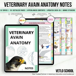Veterinary Avian Anatomy Bundle Hyperlinked, Veterinary Nurse Study Guide, Bonus Stickers Cover & Quizzes, Veterinary Medical Student Book