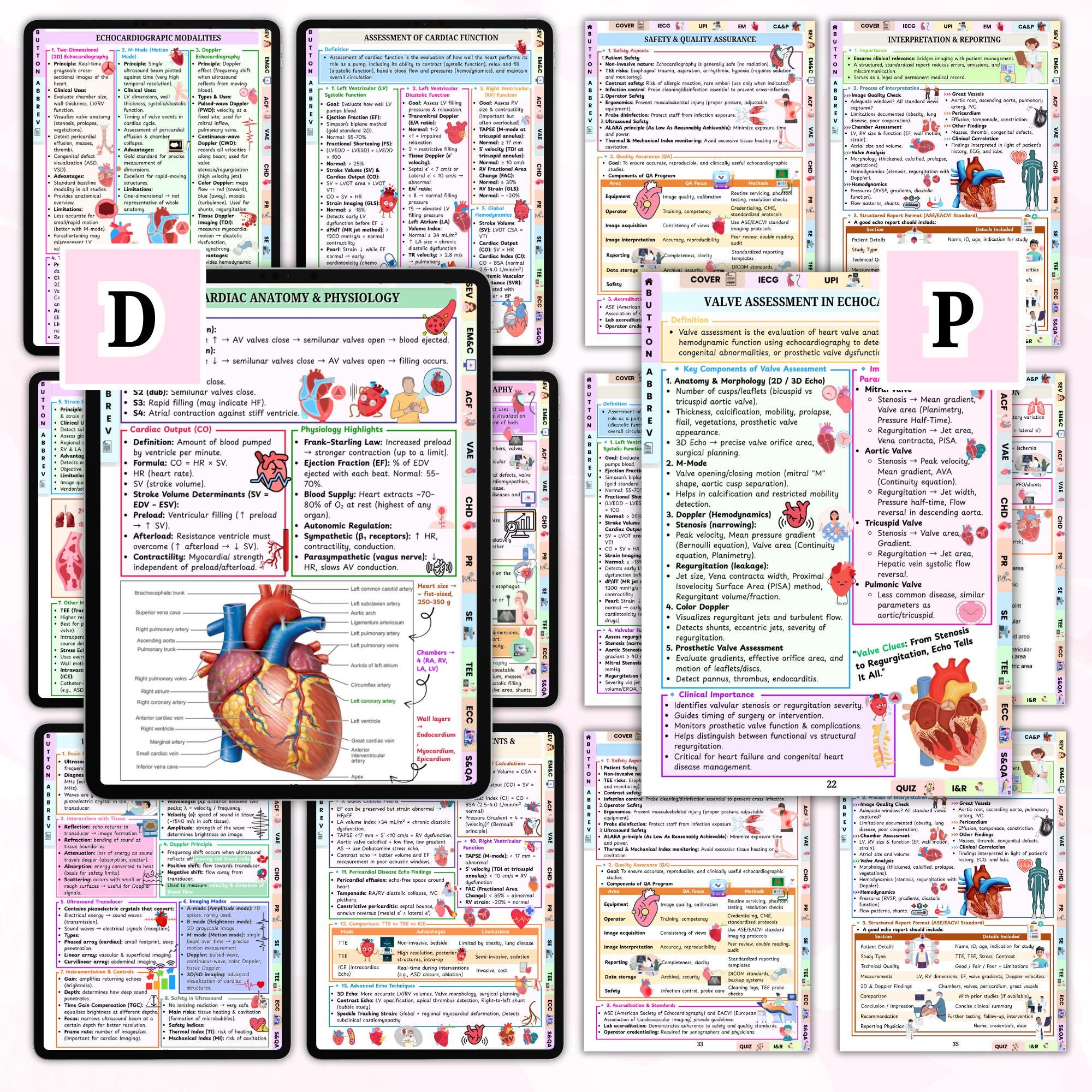 Echocardiography Study Guide PDF, Echo Ultrasound Notes, 80 Pages Bonus ...