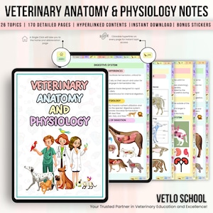 Apuntes de anatomía veterinaria / Guía digital de estudio de medicina veterinaria / Sistemas y estructuras corporales animales / Fundamentos del técnico veterinario