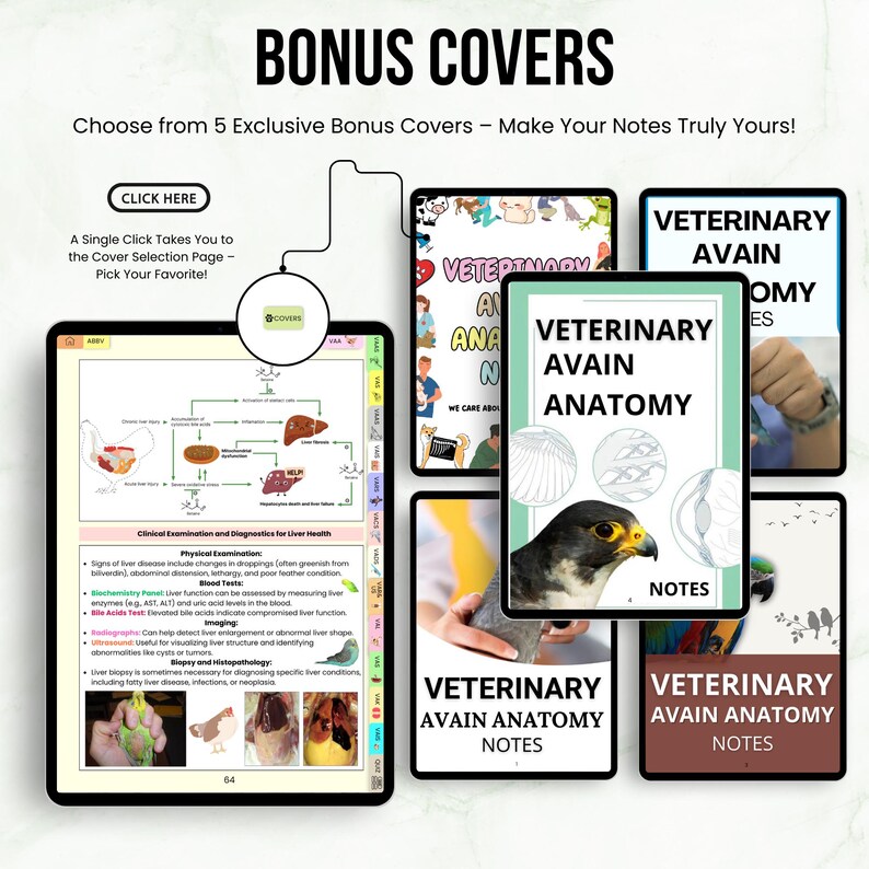 Vet Notes.pdf Veterinary Avian Anatomy Bundle, Bird Anatomy Study Notes & Diagrams ...