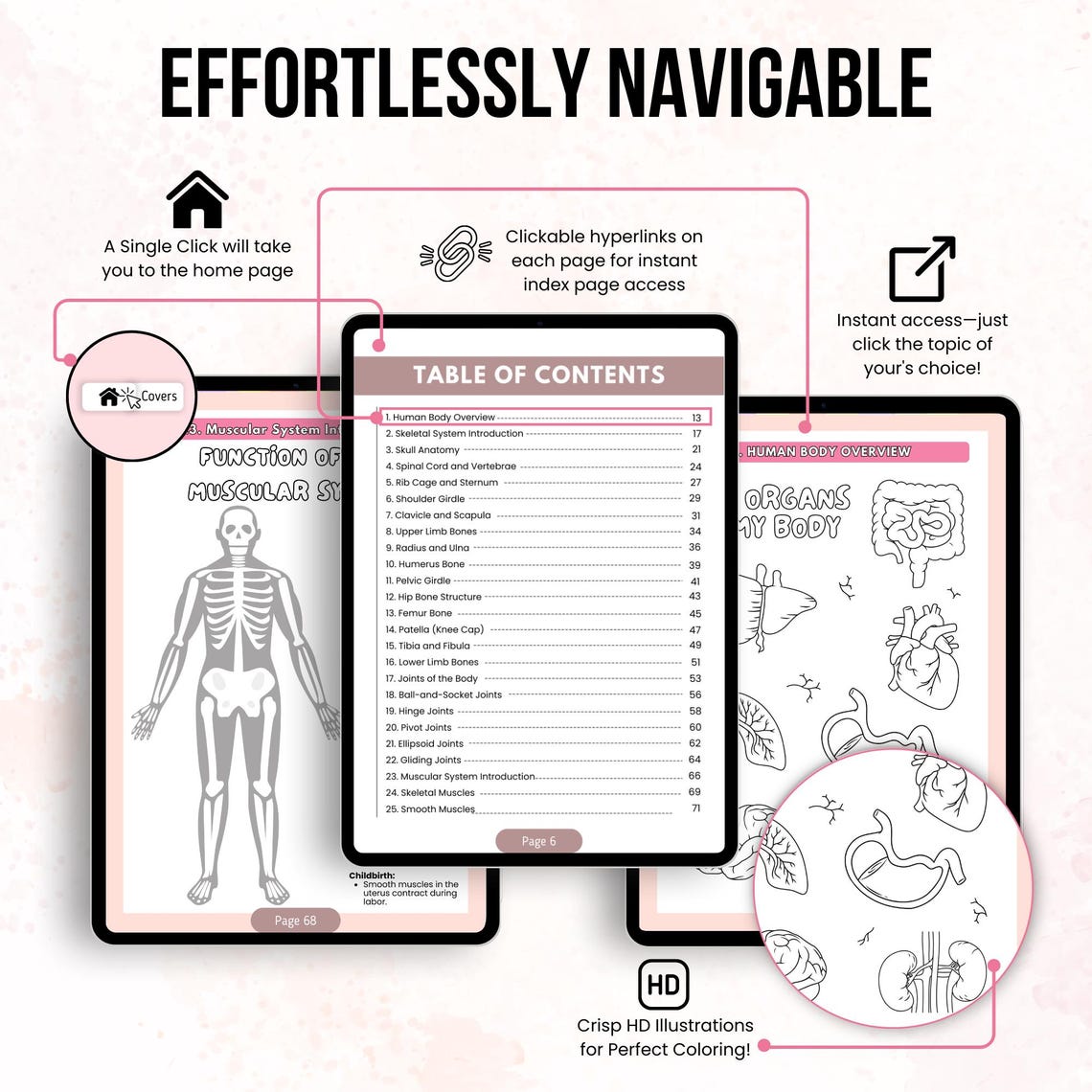 Human Anatomy Coloring Book, Body System & Structure Learning Workbook ...
