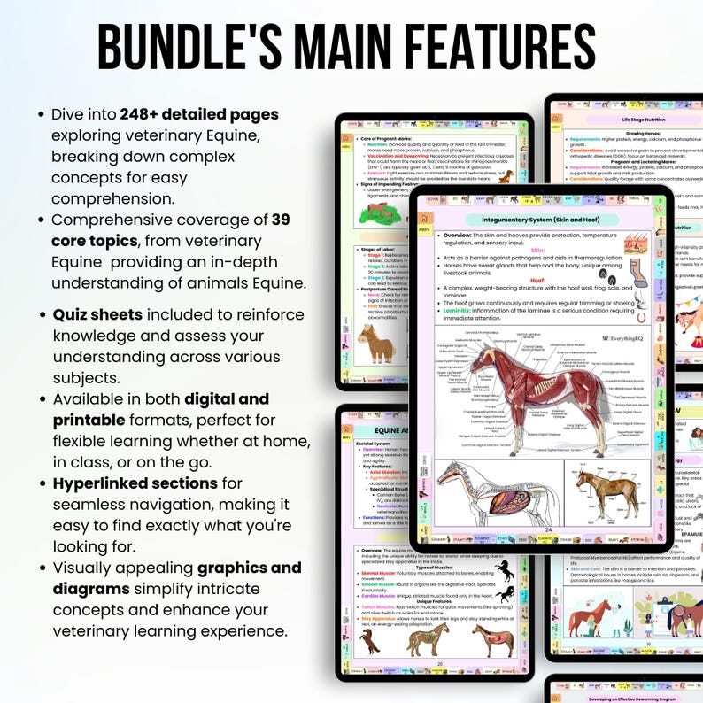 Op de afbeelding: Een digitale bundel met veterinaire leermaterialen voor paarden. De omslag afbeelding toont een anatomie diagram van een paard met de tekst "Integumentary System (Skin and Hoof)". De bundel bevat meer dan 248 gedetailleerde pagina's, 39 kernonderwerpen, quizbladen en hyperlinks.