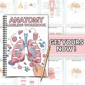 May include: Anatomy labeling workbook with a spiral binding. The cover features a detailed illustration of the lungs, trachea, and other anatomical elements in pink and blue. The text "ANATOMY LABELING WORKBOOK" is displayed prominently. A gold pen points to the lungs. The background includes other anatomical diagrams.