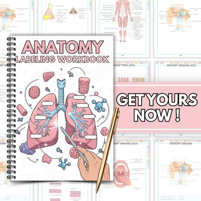 May include: Anatomy labeling workbook with a spiral binding. The cover features a detailed illustration of the lungs, trachea, and other anatomical elements in pink and blue. The text "ANATOMY LABELING WORKBOOK" is displayed prominently. A gold pen points to the lungs. The background includes other anatomical diagrams.