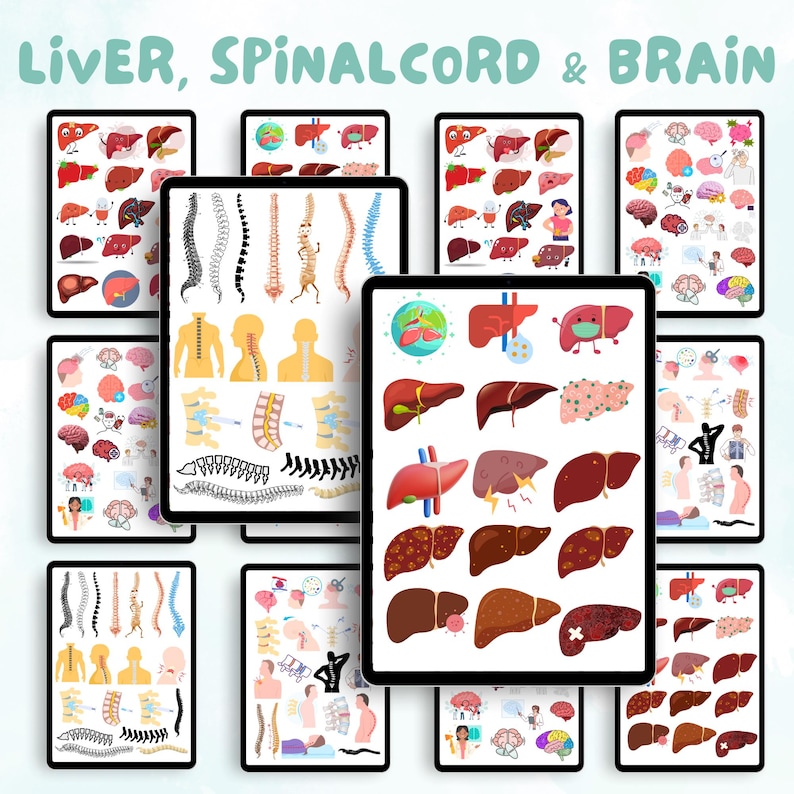 1500+ Anatomy & Biology Digital Stickers | Medical Study Goodnotes ...
