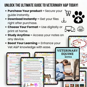 Op de afbeelding: Een digitale gids voor veterinaire paardenanatomie en -fysiologie. De gids bevat illustraties van de paardenanatomie, veelvoorkomende gezondheidsproblemen en preventieve maatregelen. De gids is direct te downloaden en toegankelijk op elk apparaat.