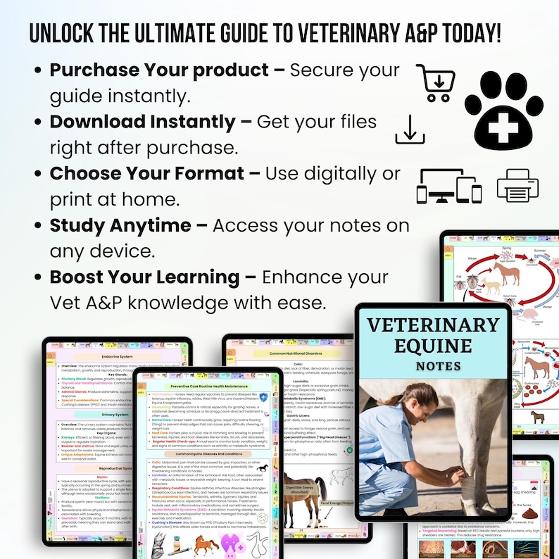 Op de afbeelding: Een digitale gids voor veterinaire paardenanatomie en -fysiologie. De gids bevat illustraties van de paardenanatomie, veelvoorkomende gezondheidsproblemen en preventieve maatregelen. De gids is direct te downloaden en toegankelijk op elk apparaat.