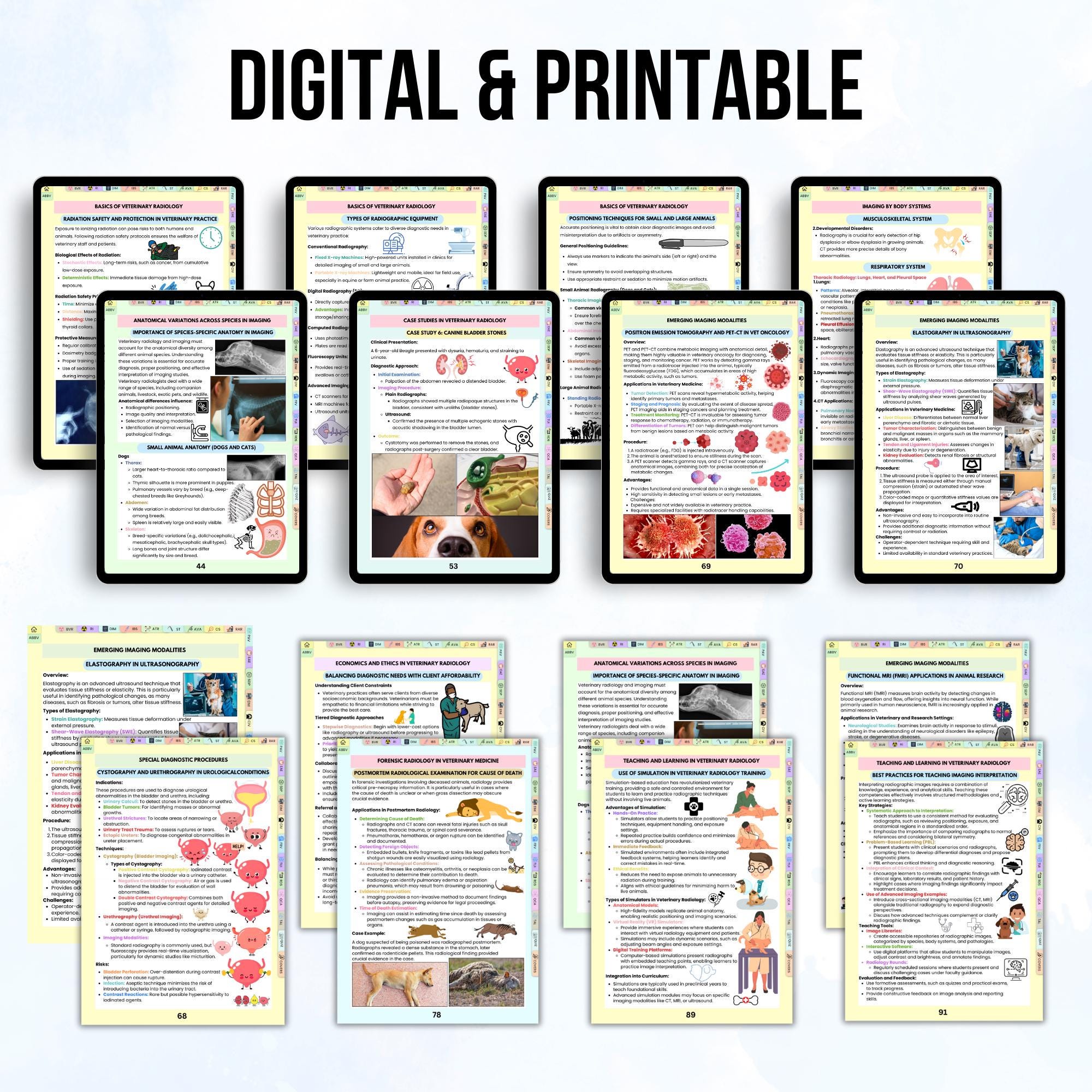 Veterinary Radiology & Imaging Notes: Vet Student Resources (digital ...