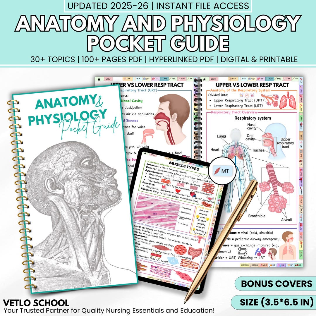 Anatomy and Physiology Study Guide | A&P Nursing Notes PDF | Quick ...