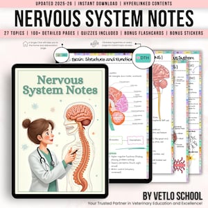 Aantekeningen zenuwstelsel met hyperlink, bonusflashcards stickers studietips of quiz, aantekeningen neuroverpleegkundige, aantekeningen medische ingreep, neurologische aandoeningen
