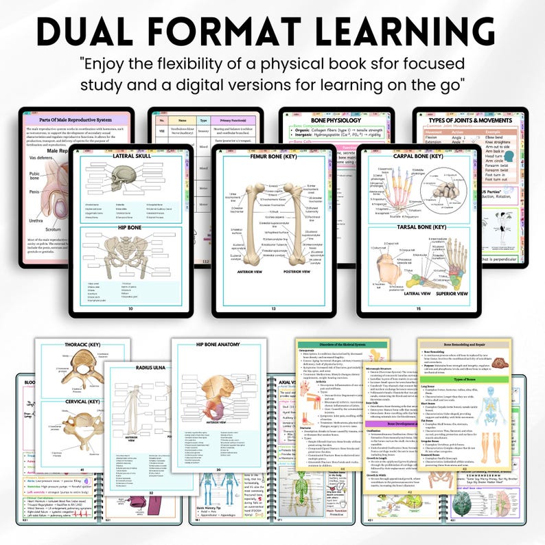 Anatomy and Physiology Master Bundle Book | Physical A&P Vol 1 2 Pocket ...