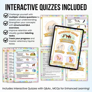 Op de afbeelding: Een set kleurrijke digitale flashcards om te leren over veterinaire paardengeneeskunde. De flashcards bevatten een cartoonpaard en de tekst "Veterinary Equine Quizzes". De flashcards bevatten meerkeuzevragen, waar of niet waar vragen en matchingvragen.
