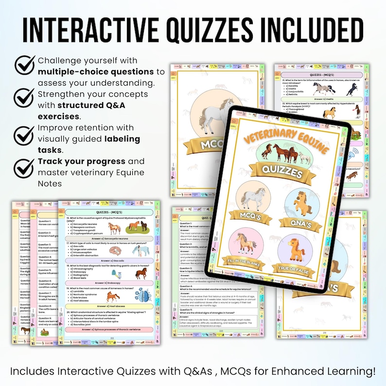 Op de afbeelding: Een set kleurrijke digitale flashcards om te leren over veterinaire paardengeneeskunde. De flashcards bevatten een cartoonpaard en de tekst "Veterinary Equine Quizzes". De flashcards bevatten meerkeuzevragen, waar of niet waar vragen en matchingvragen.