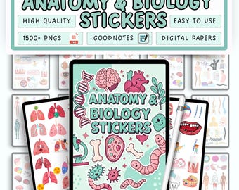 1500+ Anatomy & Biology Digital Stickers | Medical Study GoodNotes Bundle | Biology and Human Body Design | Instant Download | Medical Study