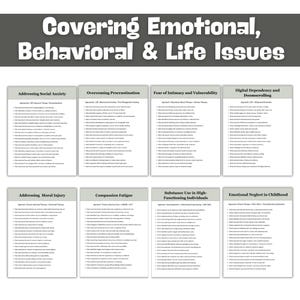 May include: A graphic with the text "Covering Emotional, Behavioral & Life Issues". Below are eight white rectangles with titles such as "Addressing Social Anxiety" and "Overcoming Procrastination". Each rectangle lists approaches and client actions.