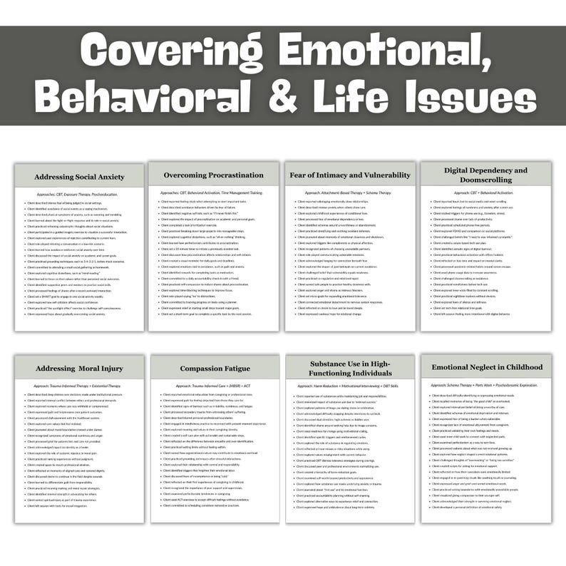 May include: A graphic with the text "Covering Emotional, Behavioral & Life Issues". Below are eight white rectangles with titles such as "Addressing Social Anxiety" and "Overcoming Procrastination". Each rectangle lists approaches and client actions.