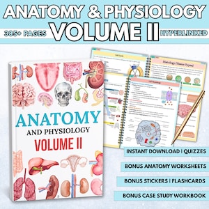 Plus de 385 liens hypertexte sur l'anatomie et la physiologie avec cartes-éclair et questionnaires d'autocollants Étude de cas, guide d'étude de l'anatomie, notes pour école d'infirmières
