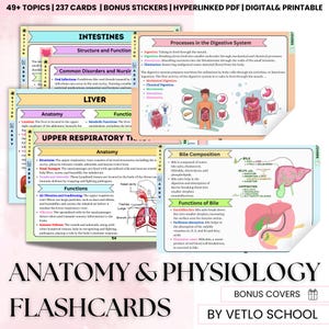 Más de 49 fichas didácticas de anatomía y fisiología, PDF con hipervínculos, portadas adicionales, pegatinas adicionales, fichas de estudio para exámenes médicos