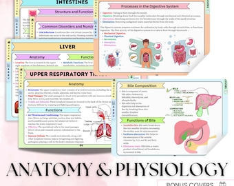 49+ Topics Anatomy & Physiology FlashCards, Hyperlinked Pdf, Bonus Covers, Bonus Stickers, Study Flashcards For Medical Exams