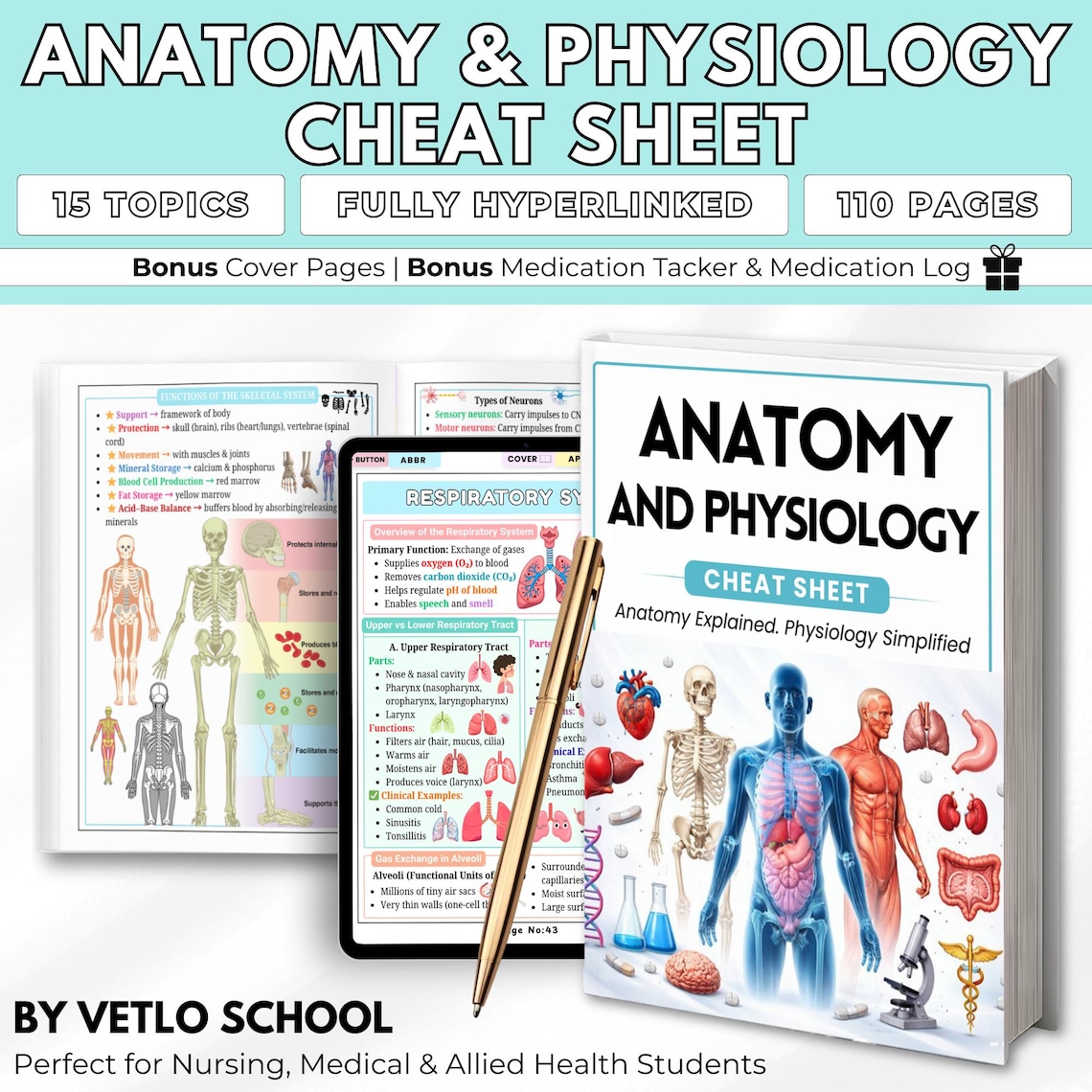 Anatomy and Physiology Cheat Sheet for Nursing | A&P Study Guide PDF ...