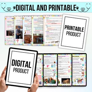 Op de afbeelding: Digitale en printbare studiegids over de anatomie en fysiologie van paarden. De gids bevat kleurrijke illustraties en tekst over de anatomie, fysiologie en voortplanting van paarden. De gids is zowel in digitale als in printbare vorm beschikbaar.