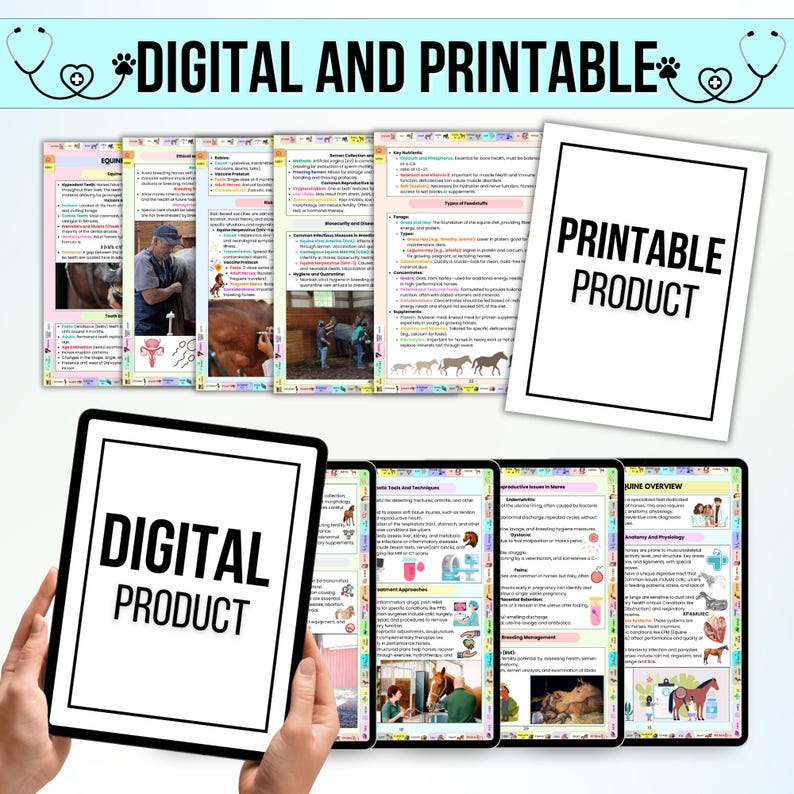 Op de afbeelding: Digitale en printbare studiegids over de anatomie en fysiologie van paarden. De gids bevat kleurrijke illustraties en tekst over de anatomie, fysiologie en voortplanting van paarden. De gids is zowel in digitale als in printbare vorm beschikbaar.