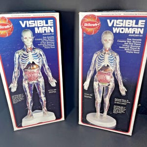 希少 Skil Craft Visible Man Anatomy Kit Skilcraft Visible Man Anatomy Kit : Amazon.in: Toys & Games