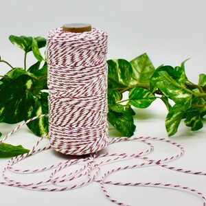 May include: A spool of white and burgundy baker's twine. The twine is tightly wound around a cardboard core. A length of the twine is unwound and lies in front of the spool. Green leafy vines are in the background.