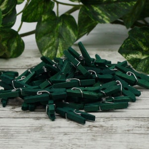 May include: A pile of small, dark green wooden clothespins with silver-colored metal springs. The clothespins are scattered on a light-colored, weathered wooden surface, with green leafy foliage in the background. These are ideal for crafts and home decor.