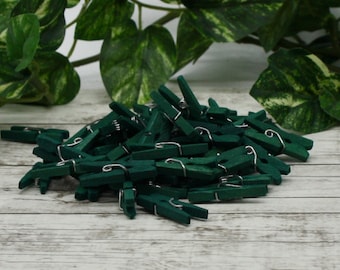 Rain Forest Green Hand-Dyed Clothespins: Embellishment Supplies