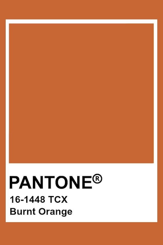 Burnt Orange Silk Ribbon 1/4 Wide BY THE YARD - Etsy