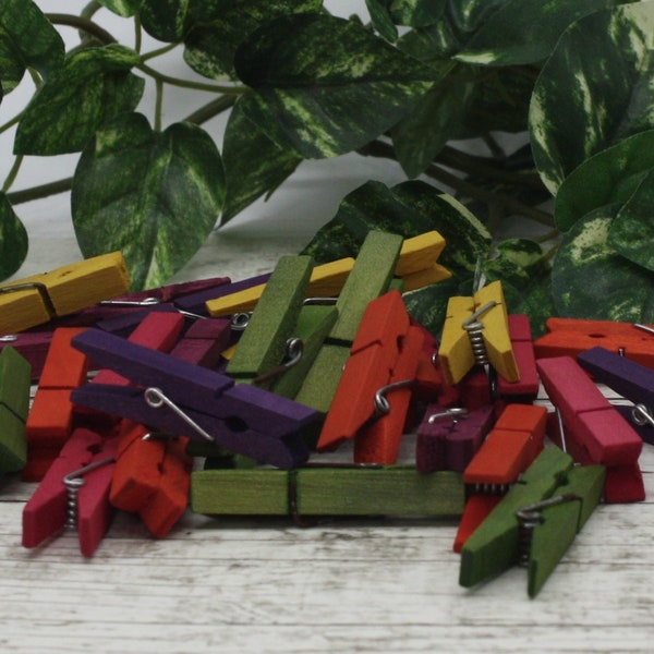 Multi Color Mini Clothespins Hand Dyed