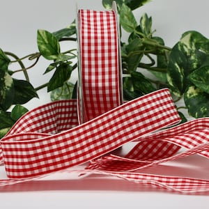 May include: A roll of red and white gingham ribbon with a white edge. The ribbon is unwound, with a length of the ribbon lying in front of the roll. Green leafy vines are in the background.