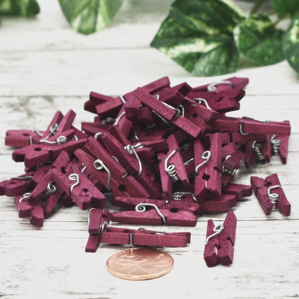 Plum Hand Dyed Mini Clothespins 1 inch